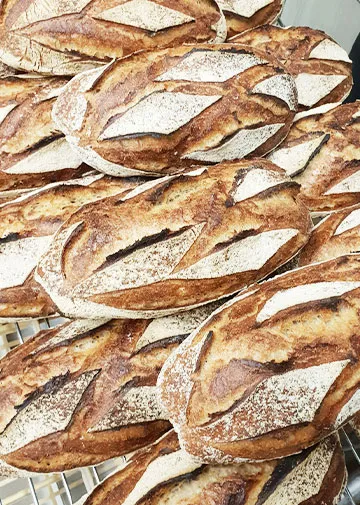 Pains au levain bien dorés, grignes croustillantes